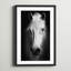 «Gentle Soul» par Marmont Hill - reproduction de photo sur papier encadrée-1547915667