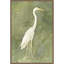 «Emerald Heron I» par Emma Caroline, reproduction d'art sur toile encadrée-109561564