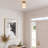 1-Light Gold Finish Flush Mount Ceiling Light with Frosted Glass Shade