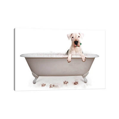" Muddy Dog In Bath Tub "