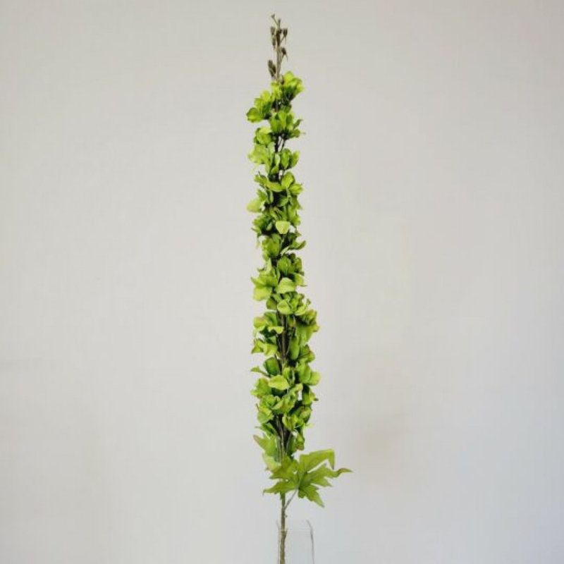Green Delphinium Stem Artificial Flower