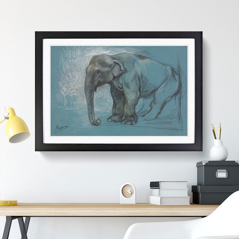 Study of an Elephant by John Macallan Swan - Framed Print, 27cm H x 36cm W x 2cm D, Black Framed