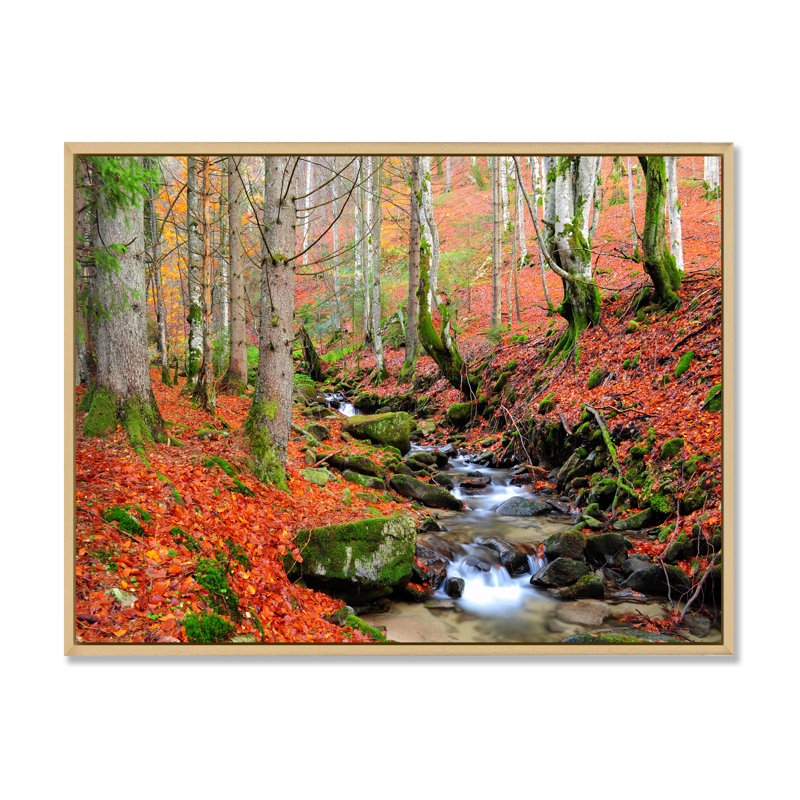 «Beautiful Autumn Forest Waterfall IV», art mural traditionnel sur toile, H 16 po x l 32 po x P 1,5 po