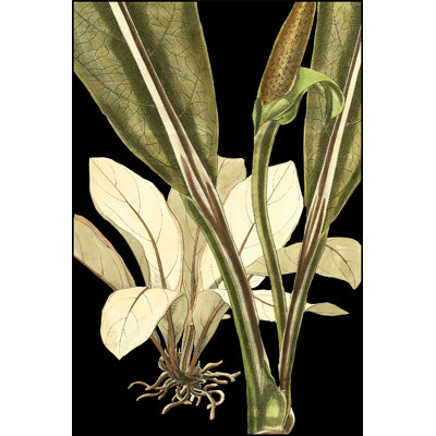 Tranquil Tropical Leaves V by Vision Studio - Wrapped Canvas Print