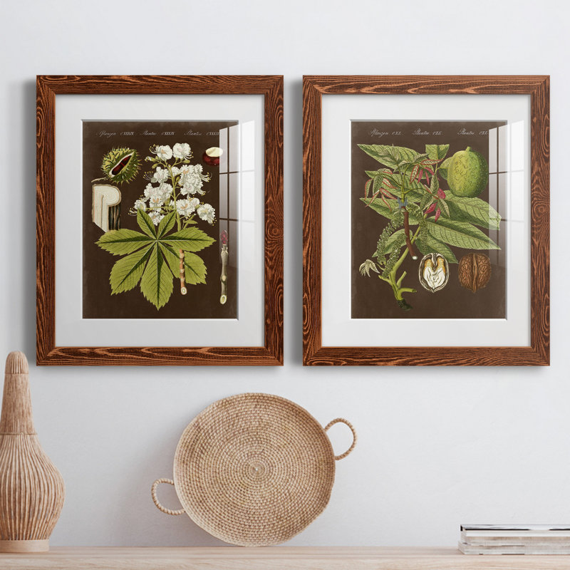 Châtaignier sur suède - ensemble de 2 reproductions d'art graphique, H 24 po x l 36 po x P 1,5 po, Papier avec cadre érable