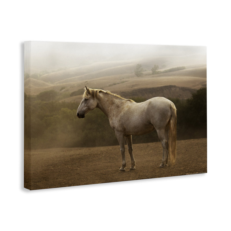 «Morning Mist Horse Portrait», art mural par Jadei, H 16 po x l 24 po
