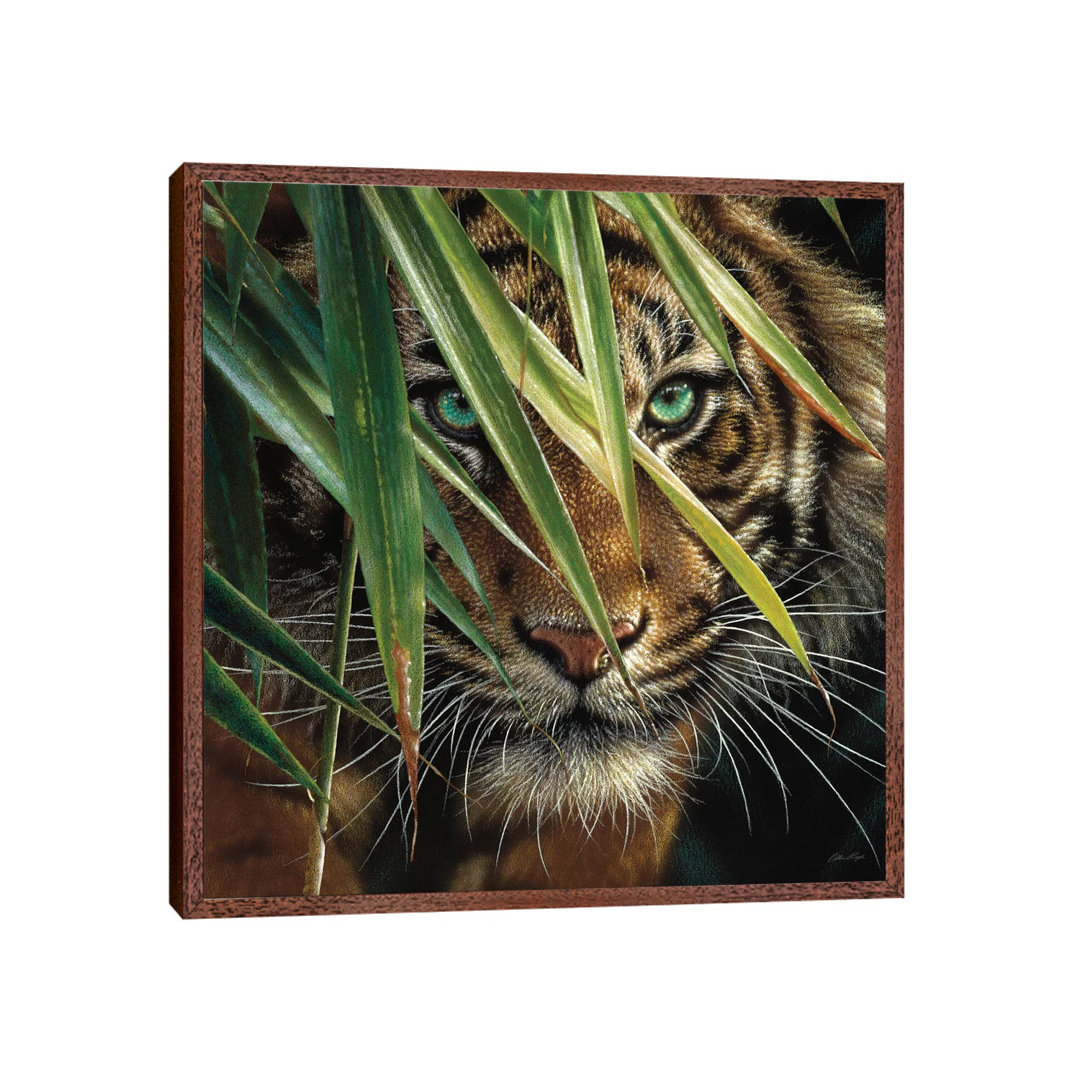 Tiger Eyes by Collin Bogle - Wrapped Canvas Print