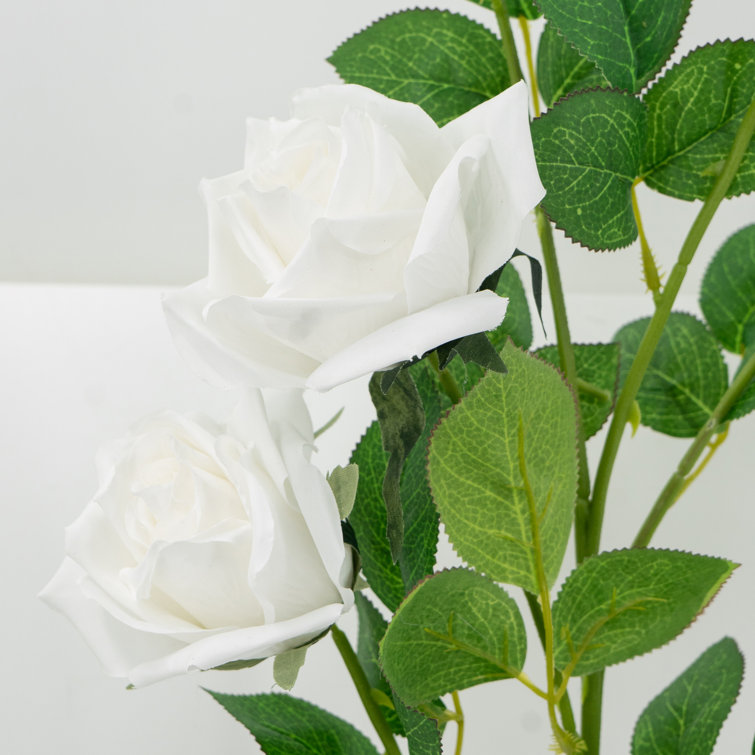 Jumbo Rose Stems Primrue Flowers/Leaves Color: White