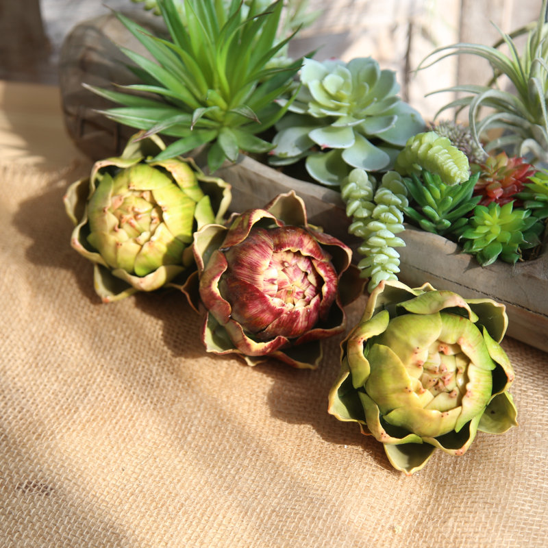 Succulent Arrangement