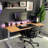 Lakyia Electric Height Adjustable Standing Desk-1529284640-1529284643
