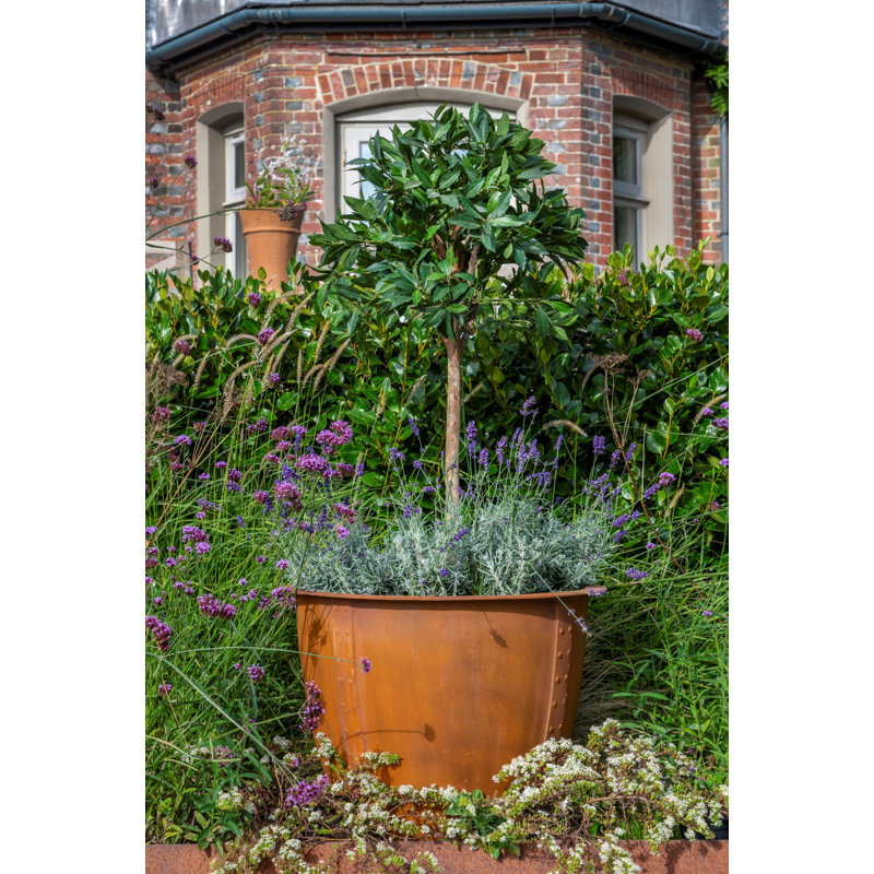 Norman Planter, Medium