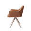 Caius Tome Cinnamon Bun Dining Chair-11961134-11961132