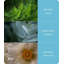 Alkinoi Oils & Scents-721096510-721096509