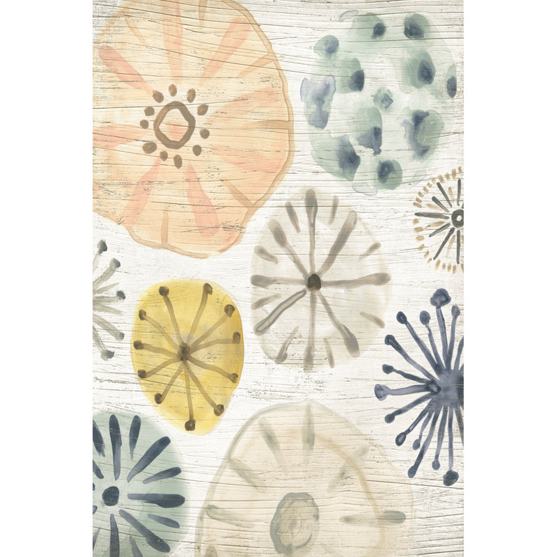 Ocean Urchins I - Wrapped Canvas Print, 46cm H x 30cm W x 3.8cm D