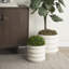 Grand vase Searle-1553252305