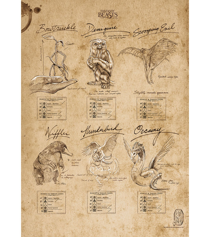 Vintage Beige Harry Potter Fantastic Beasts Sketchbook Print