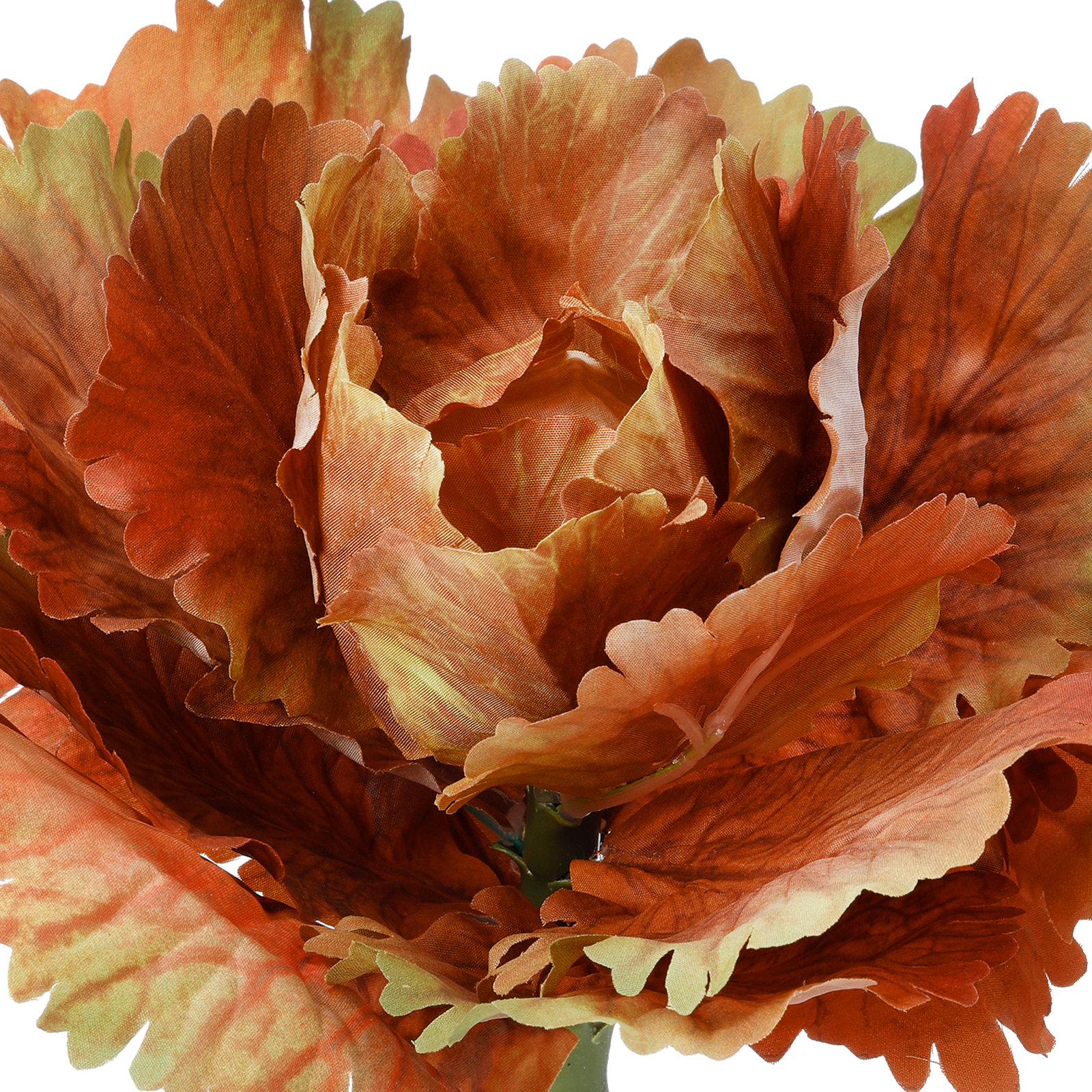 10" Autumn Cabbage Stem, Cinnamon