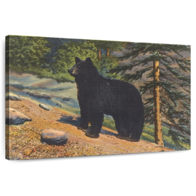 Brampt Black Bear, 8" H x 12" W
