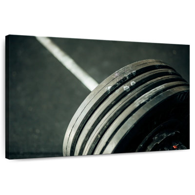 Sireci Gym Barbell Snapshot