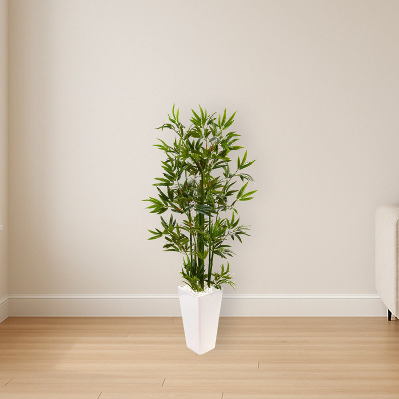 Bamboo Tree in White Tower Planter