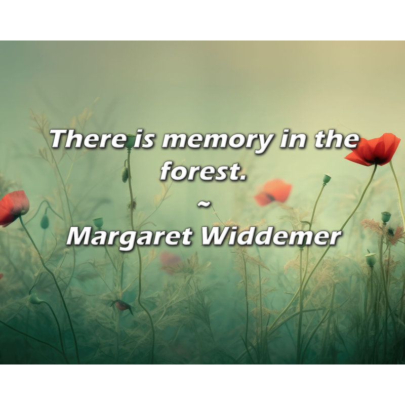Citation artistique «Il y a de la mémoire dans la forêt». Toile tendue par Margaret Widdemer, H 40 po x l 28 po