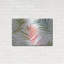 «Tropical Blush IV» par Lisa Audit