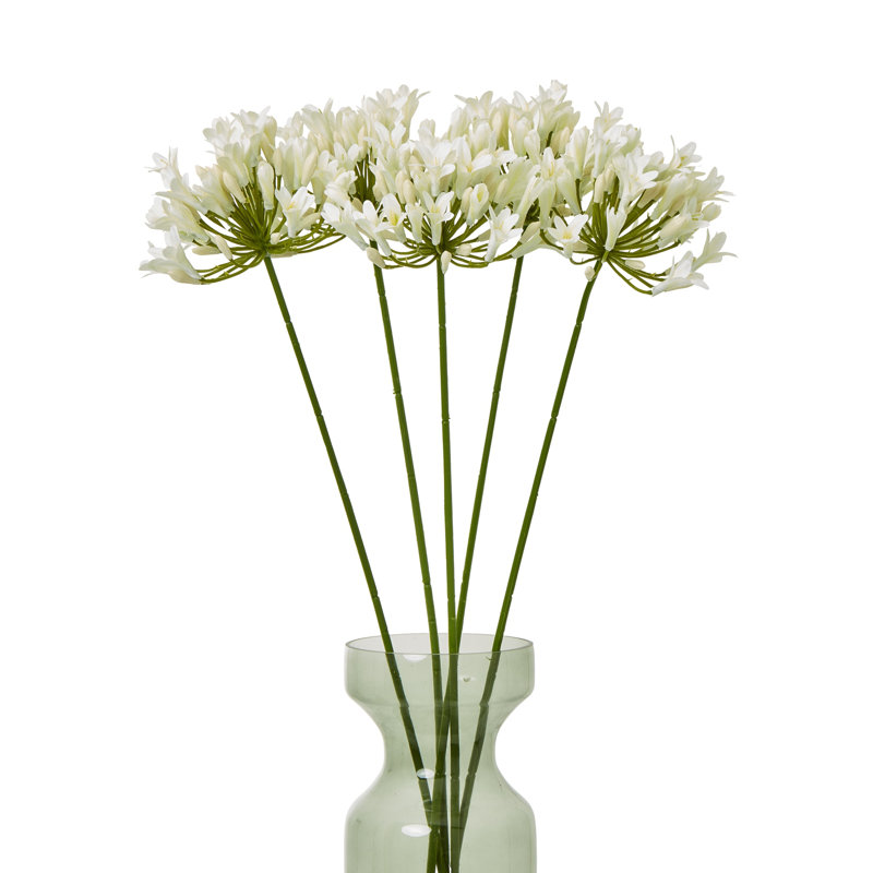 Arrangement, Cream