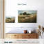Calm Meadow-1564514953