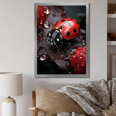 Yohanan " Insects Bugs Microcosmic Harmony II "