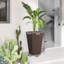 Jardinières en polypropylène durable, style rotin, pour une décoration intérieure et extérieure moderne