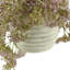 Organic Modern Weeping Laurel Arrangement