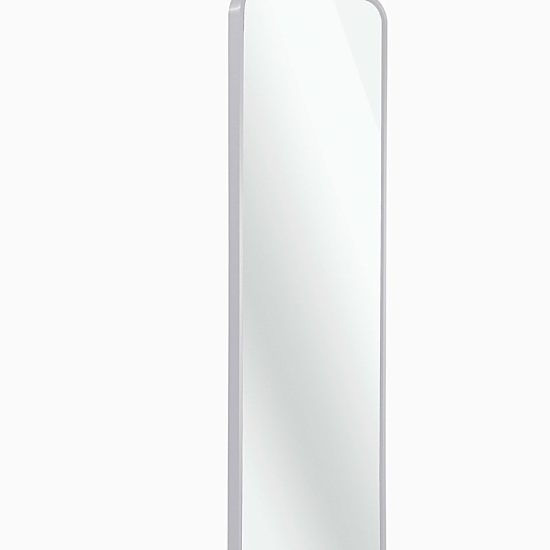 47 x 14IN Door mirror.(W2203P182160), Silver