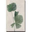 Palmier botanique III - Peinture-910505469-934732917