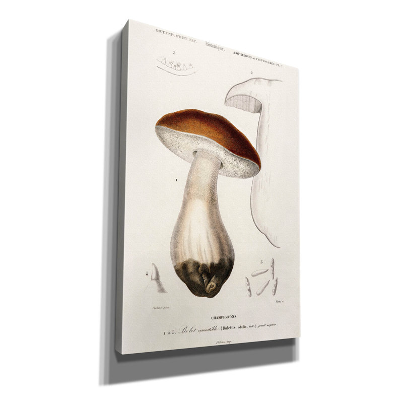 «Champignon» par Art Licensing Studio, art mural sur toile, H 18 po x l 12 po x P 0,75 po