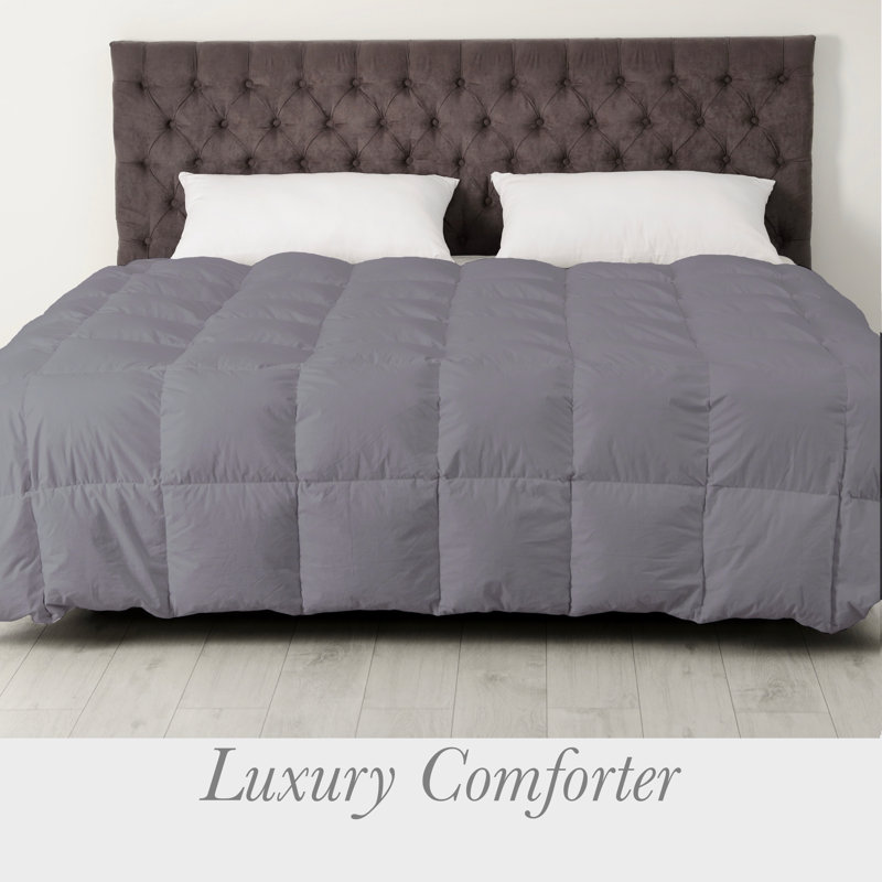 Édredon en duvet de bambou toutes saisons réversible avec rembourrage alternatif, Complète, Gris clair