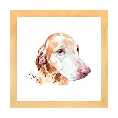 Couleur de sucre Vizsla par Edwatercolours-impression