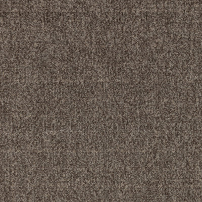 Angora Tabby Sample
