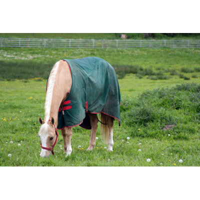 Horse Blanket by Piepereit
