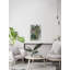 «Morning Birds II», reproduction sur toile-26600928