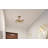 Ashmin Flush Mount-20208943