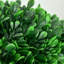 Topiaire de buis artificiel en pot-1232406461-1245143343