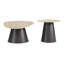 Ensemble de table basse Reyes (2 pièces) Naturel et noir