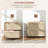2 Drawer File Cabinet with Lock