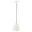 Luminaire suspendu en forme de dôme à 1 lumière Ashkon-1102798691-1102798688