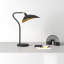 Girard Adjustable Metal Arched Lamp-1001105194