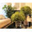 Silk Hydrangea Arrangement in Vase-550695006-550695007