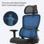 Bryce, chaise de bureau avec lombaire réglable-1109650795