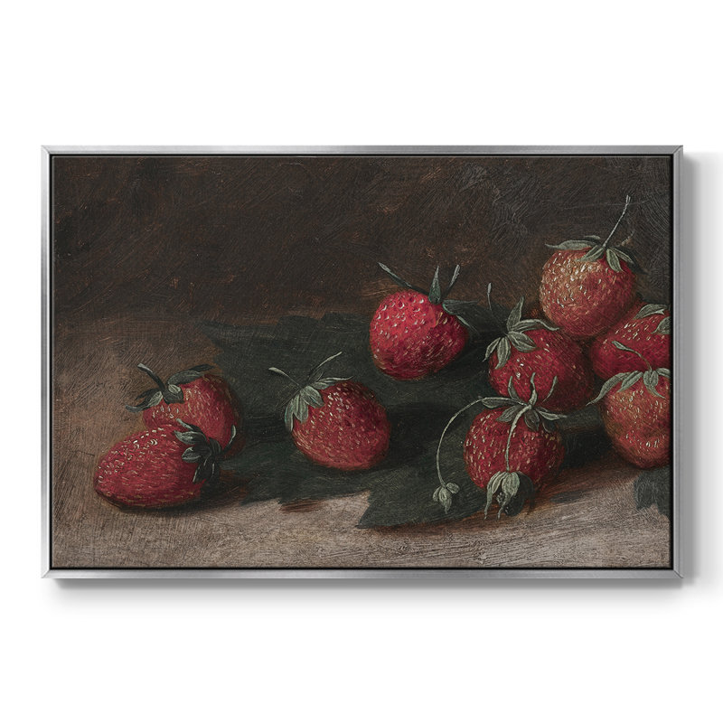 «Vintage Botanical Print-XCVII» sur toile, H 17 po x l 25 po, Argent