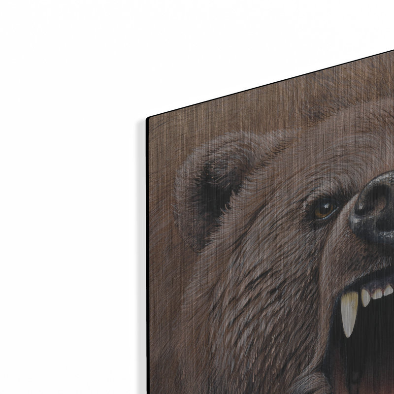 «Bear 2» par Harro Maass, H 24 po x l 24 po