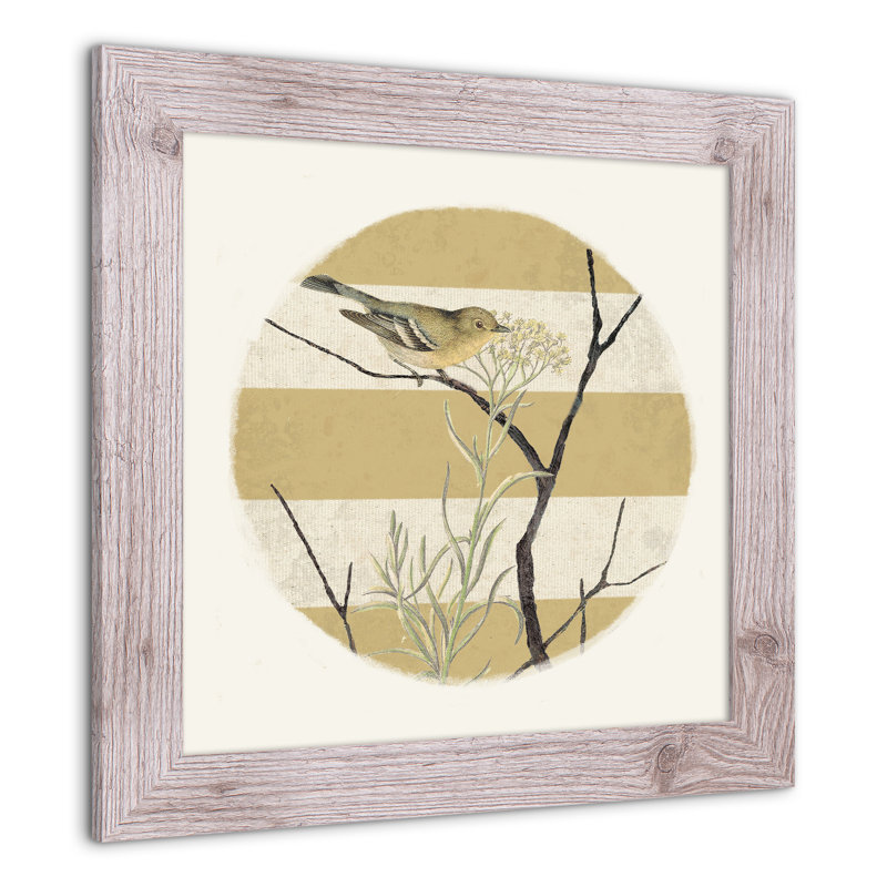 «Vintage Bird and Stripes», reproduction encadrée, Blanc